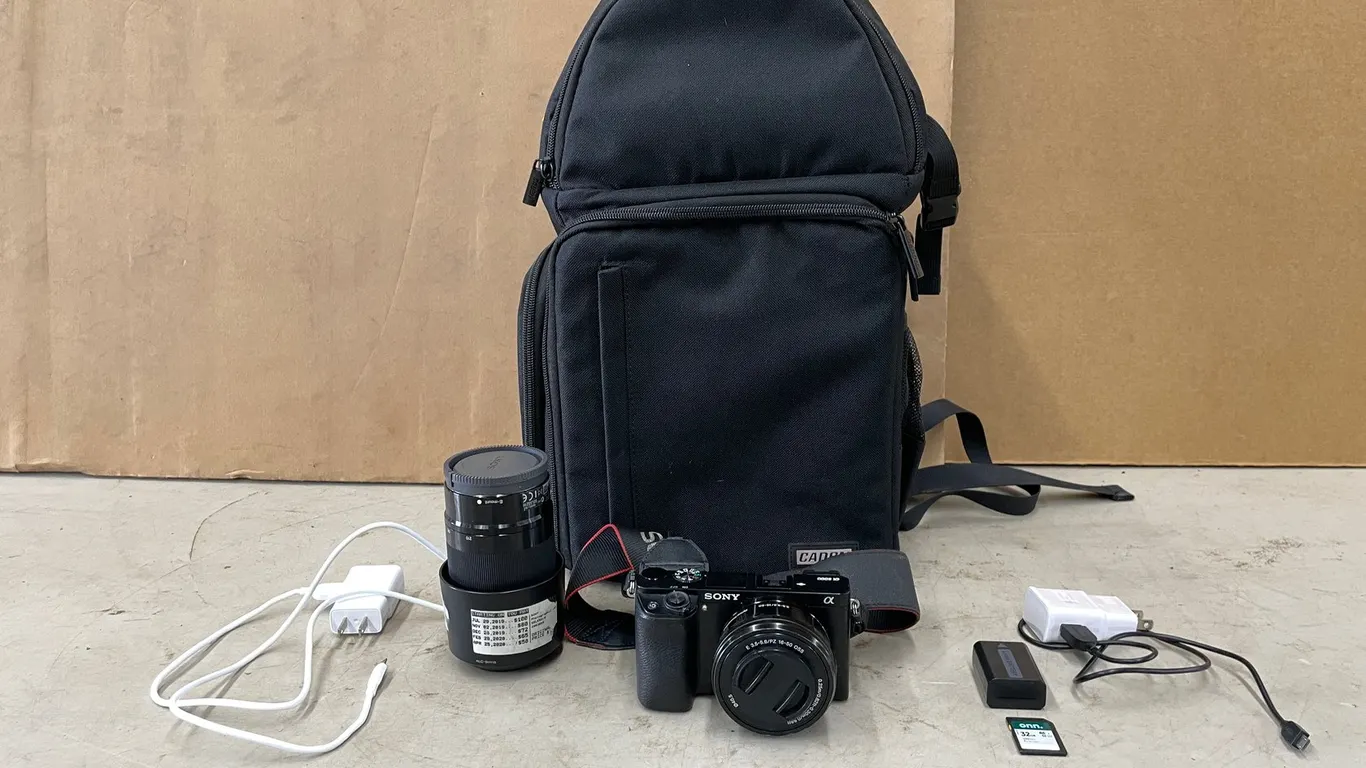 Sony APS-C Camera