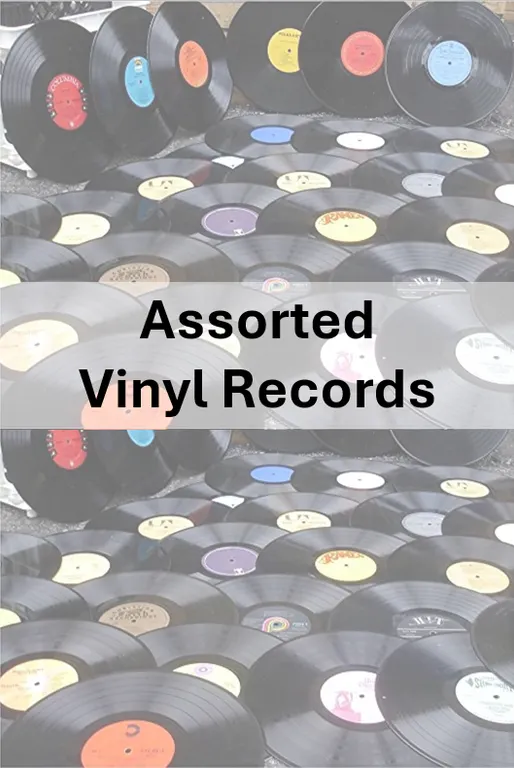 Approx. 50 Vinyl Records LP Lot - See Video for Complete Record List