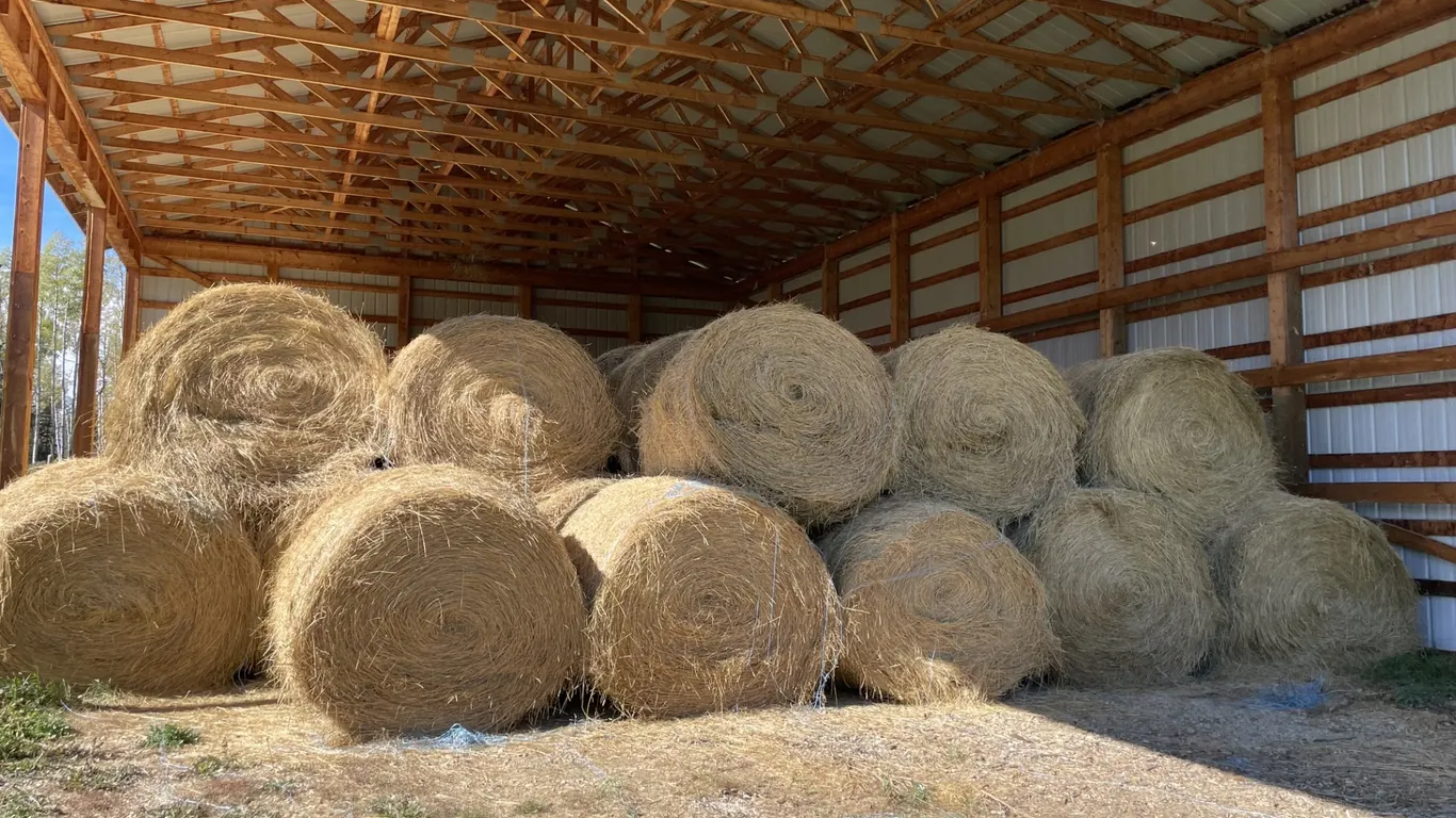 60-70 Round Bales *Selling Price is Per Bale*