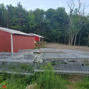 (10) Large Green House Tables