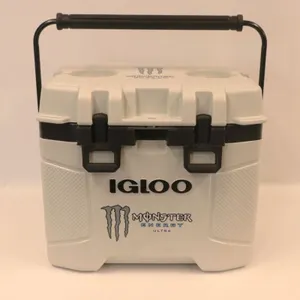 Igloo Cooler