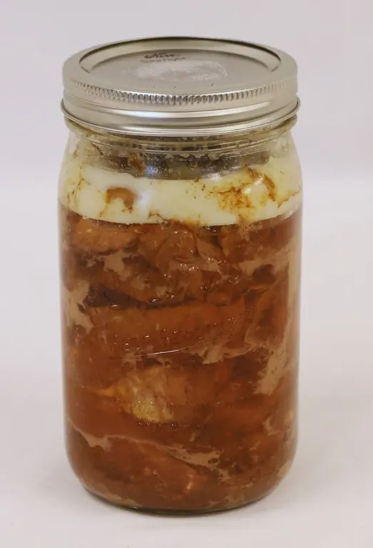 Canned Meat