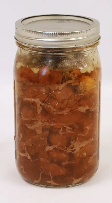Canned Meat
