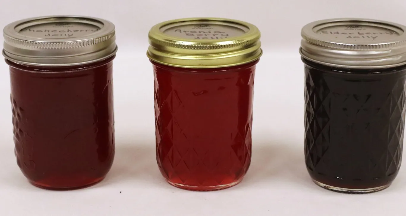 Homemade Jelly