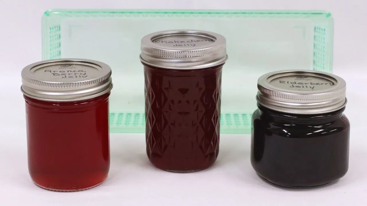 Homemade Jelly
