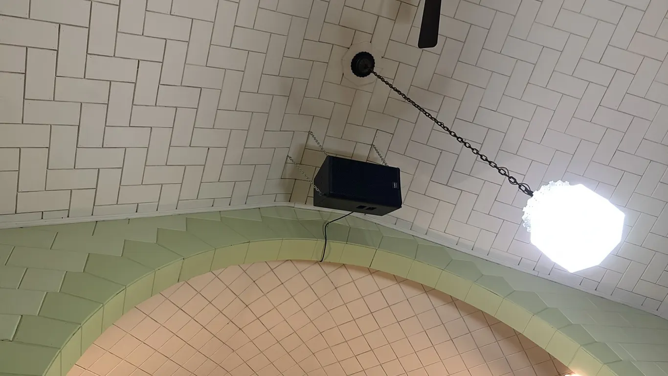 SPEAKER ON CEILING(WILL NEEN A VERY TALL LADDER, TOOLS AND HELP TO REMOVE)