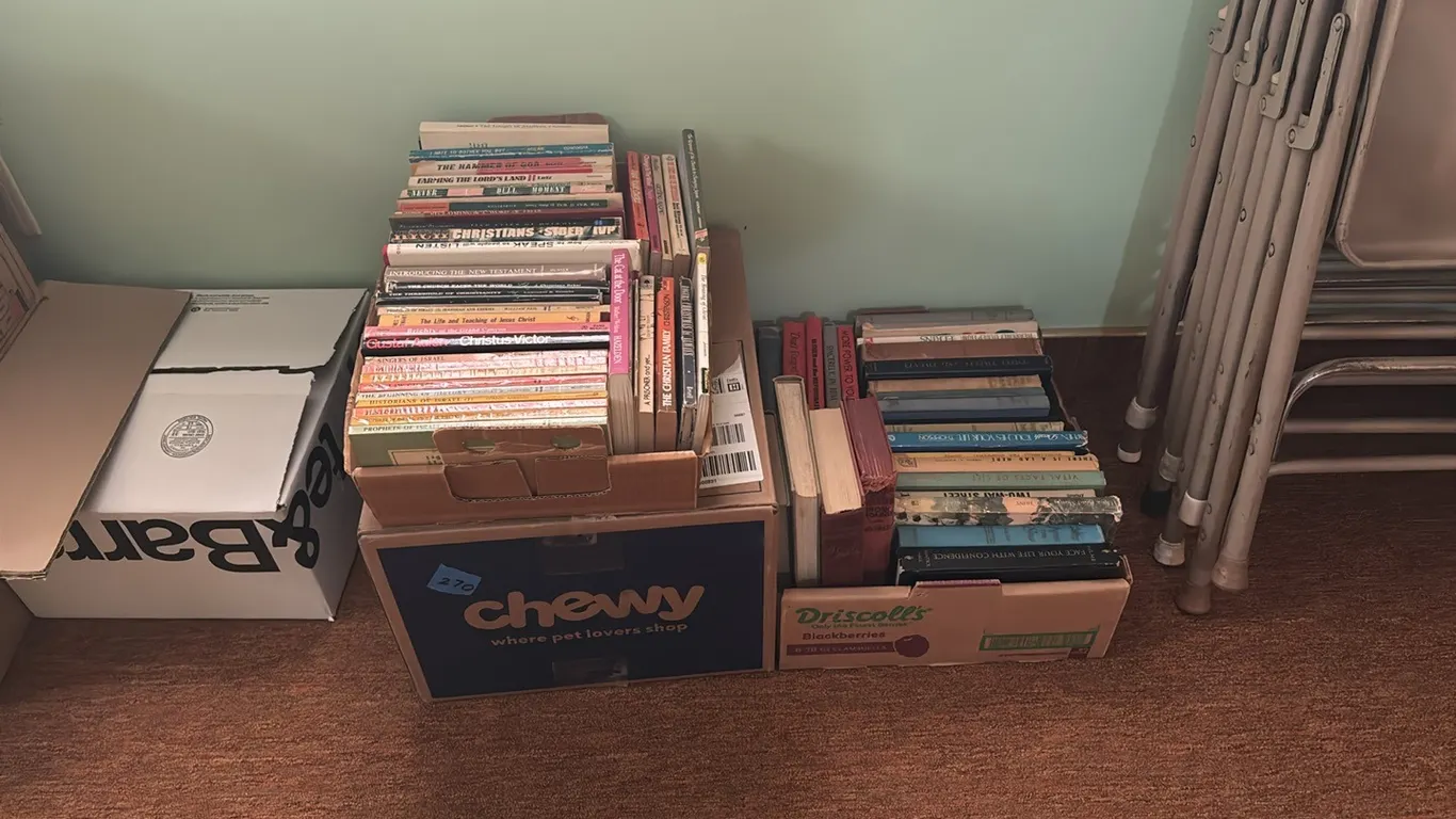 3 BOXES OF BOOKS