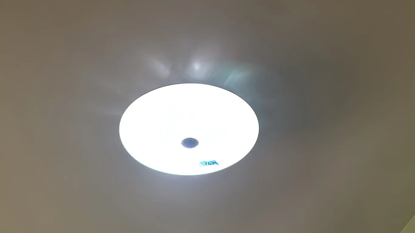 6 LIGHT FIXTURES IN THE ENTRANCE ( BRING TOOLS LADDER AND HELP TO REMOVE)