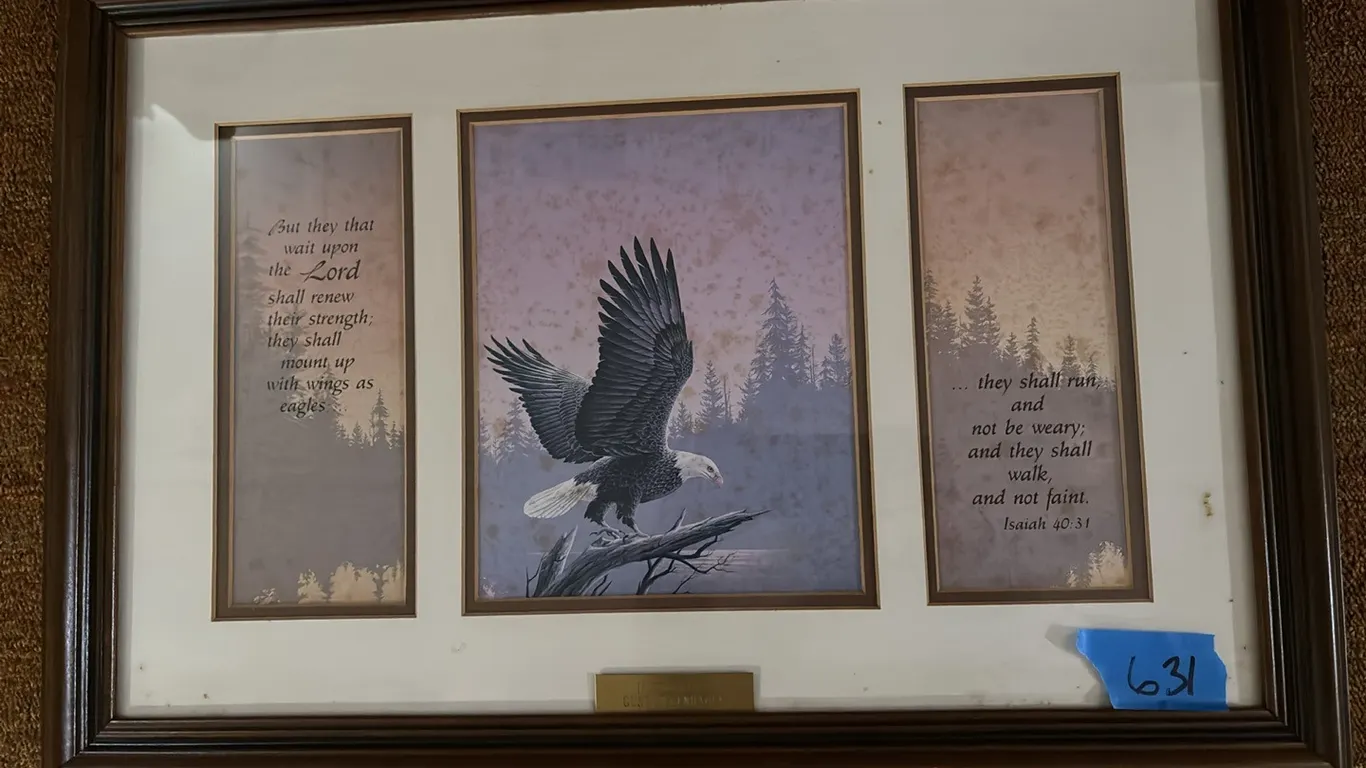 FRAMED PICTURE