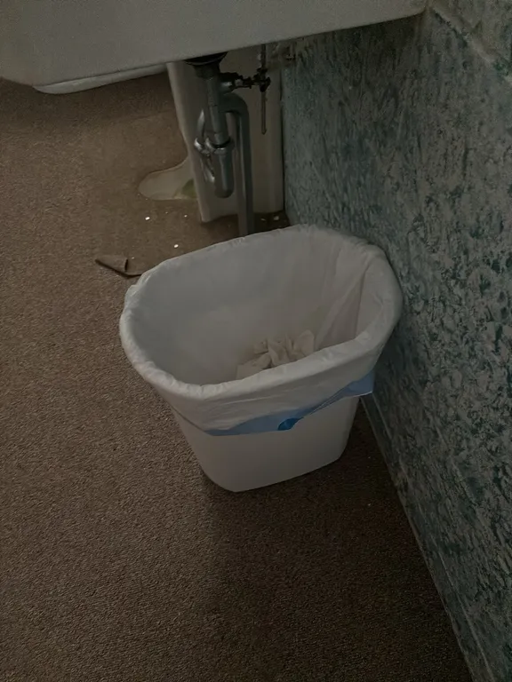 MENS BATHROOM DOOR-HANDYCAP BAR-MISCELLANEOUS BATHROOM ITEMS(BRING TOOLS AND HELP TO REMOVE)