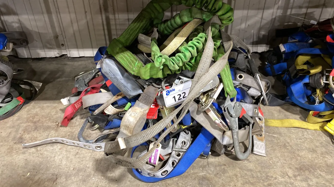 GROUP OF ASSORTED FALL PROTECTION EQUIPMENT
