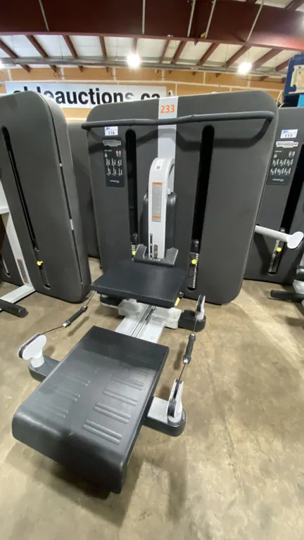 TECHNOGYM COMPACT COMMERCIAL STEP SQUAT MACHINE