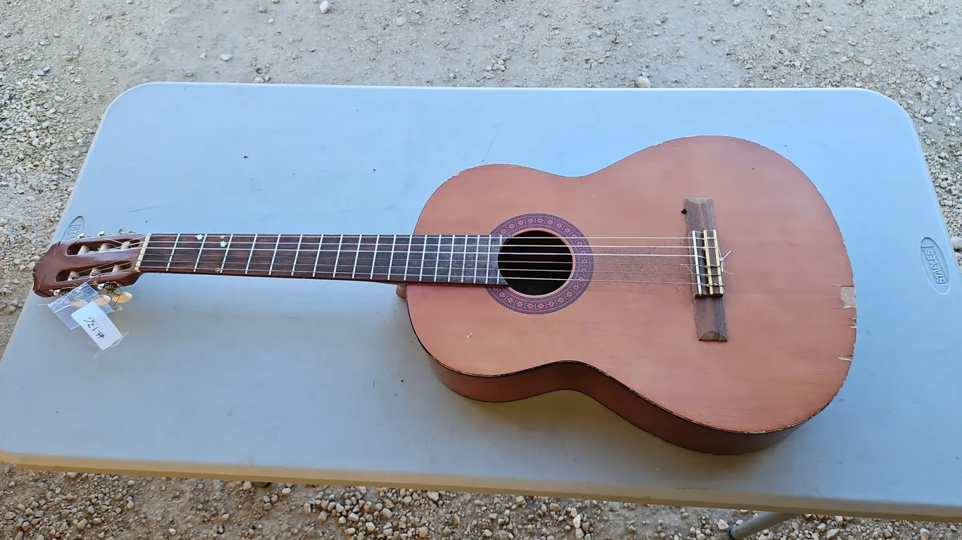 Guitar