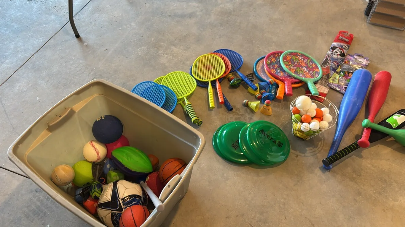 Tote of toys
