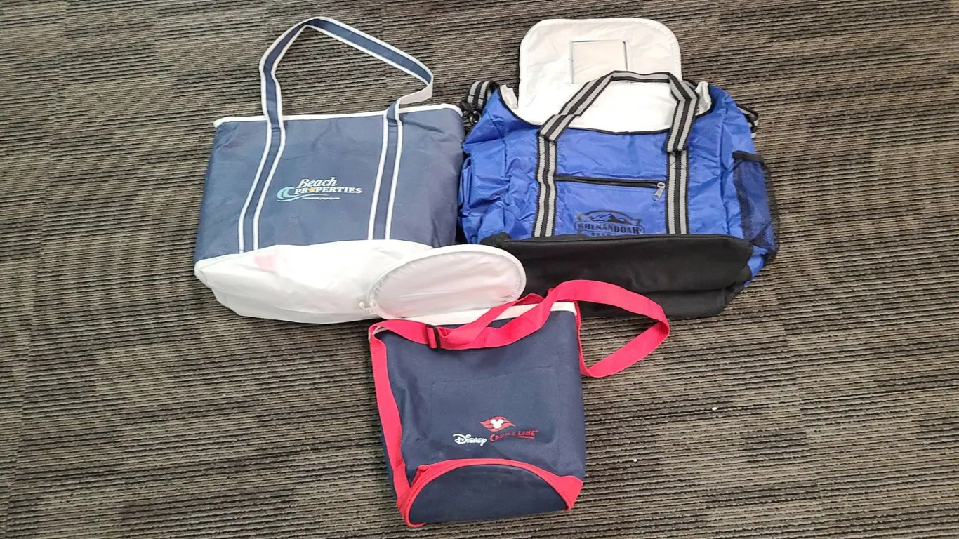 3 Branded Tote Bags: Beach, Shenandoah, Disney