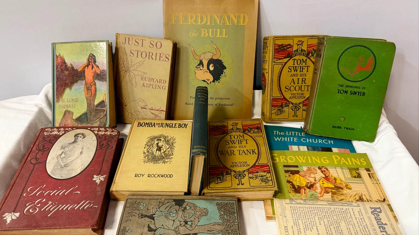Variety of Vintage Books