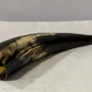 Polished Animal Horn