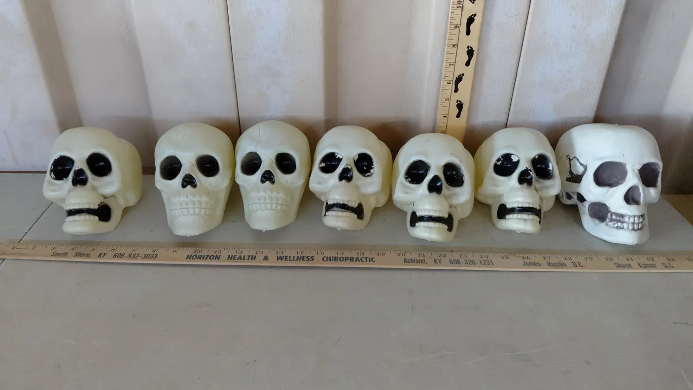 7 Plastic Skulls