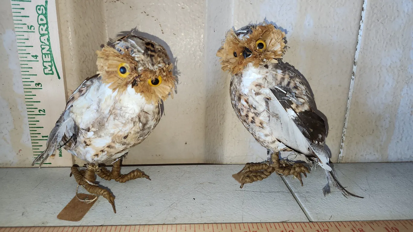 2 Foam Owl Bird Decor