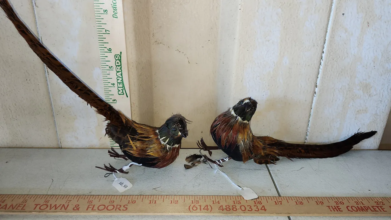 2 Foam Bird Decor