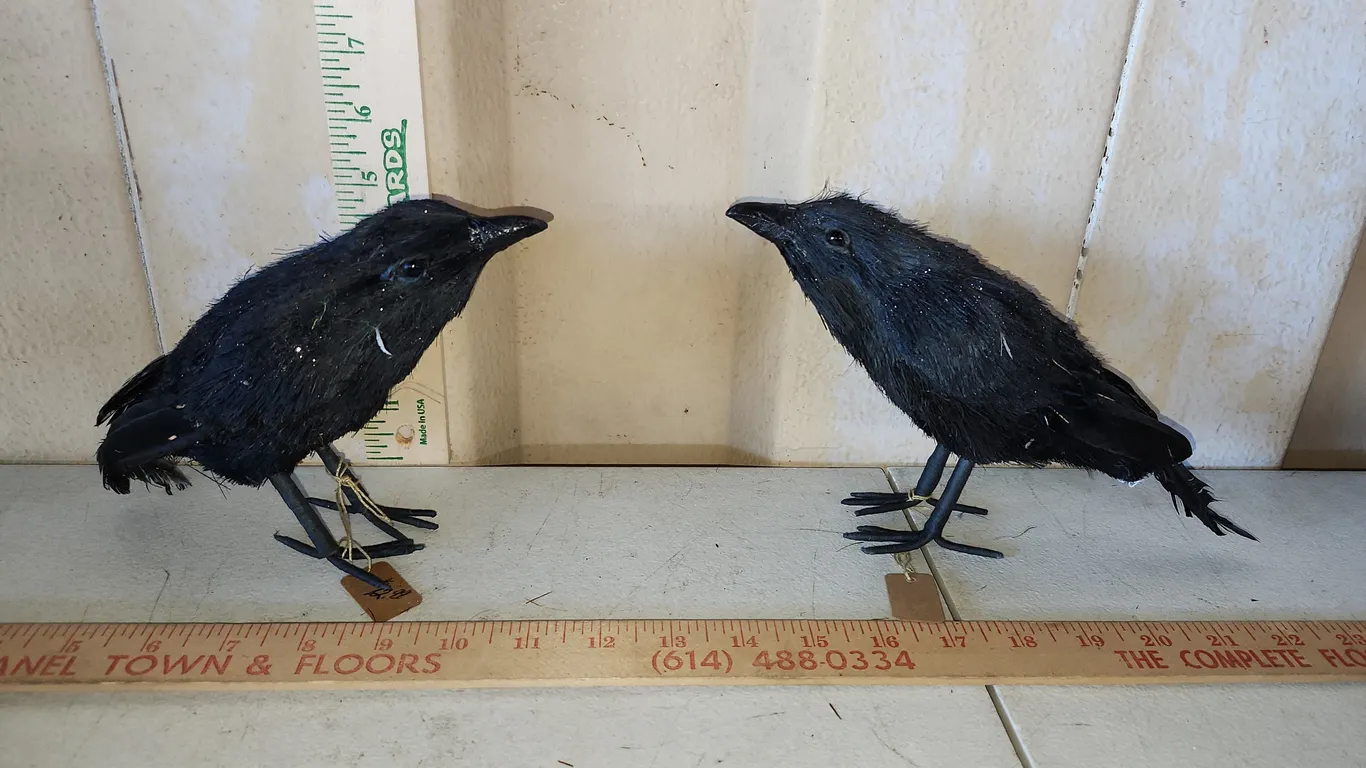 2 Foam Black Crow Bird Decor