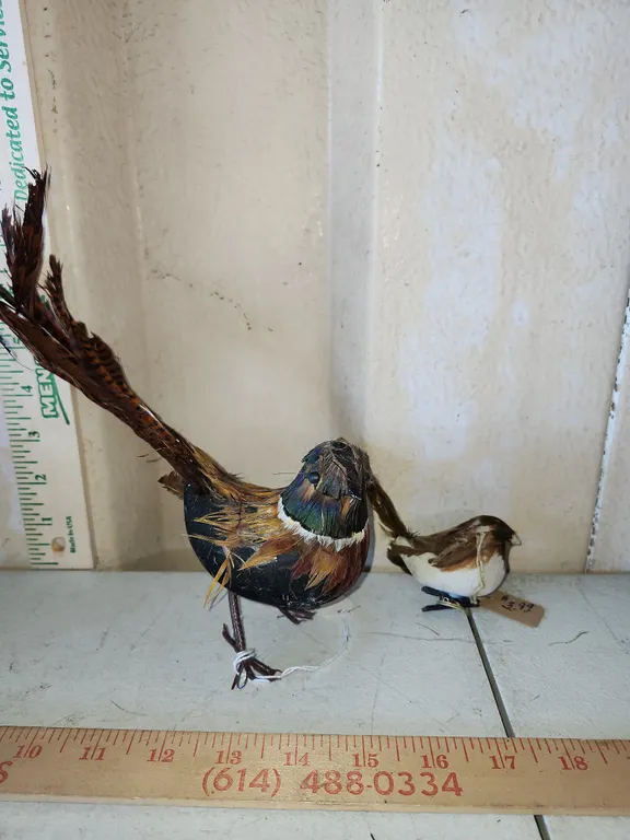 2 Foam Bird Decor