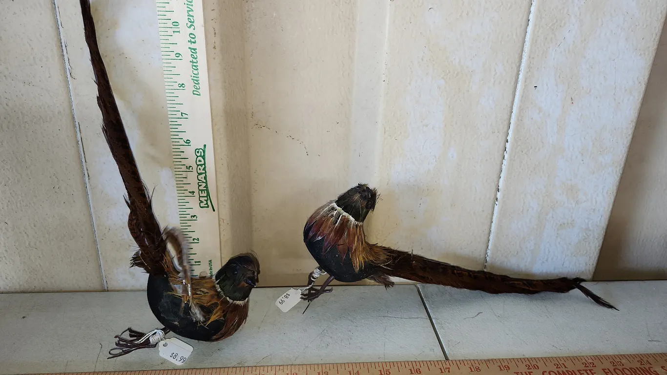 2 Foam Bird Decor