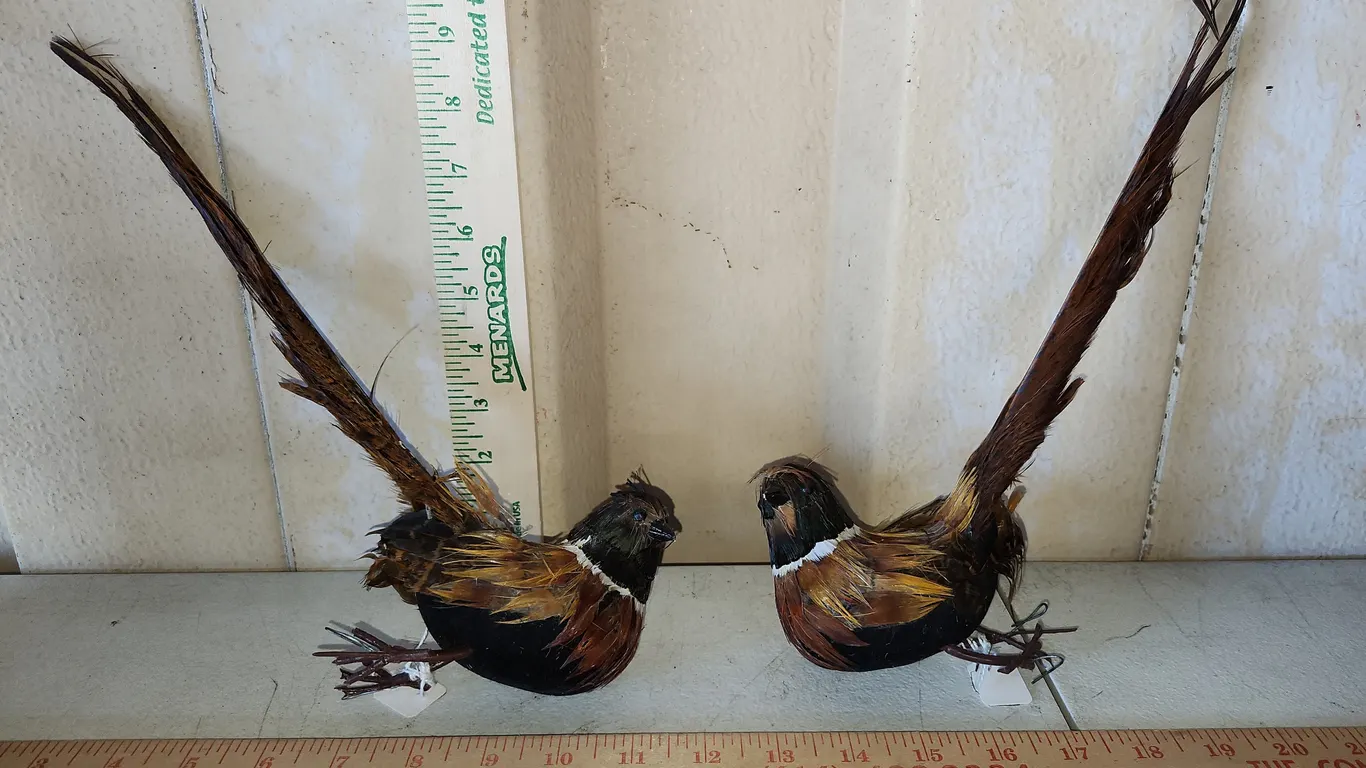 2 Foam Bird Decor
