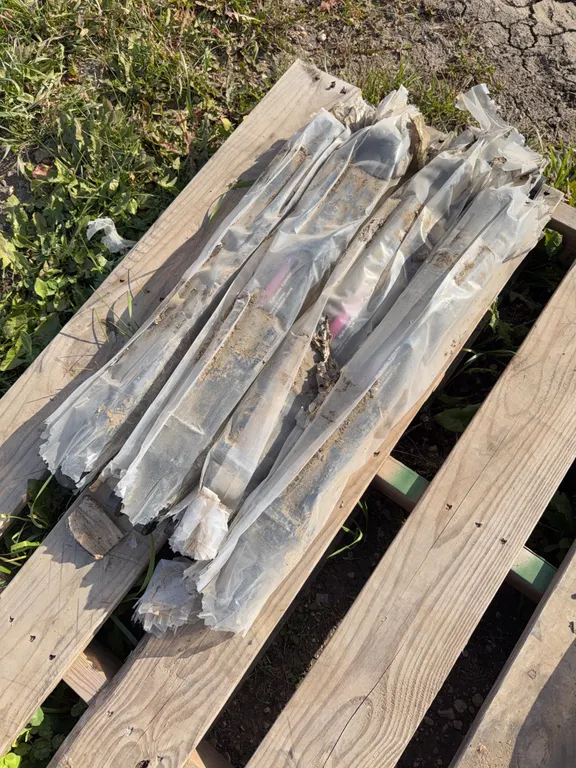 UNUSED 4 hyd cylinders 2”bore x 18” stroke