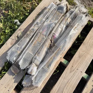 UNUSED 4 hyd cylinders 2”bore x 18” stroke