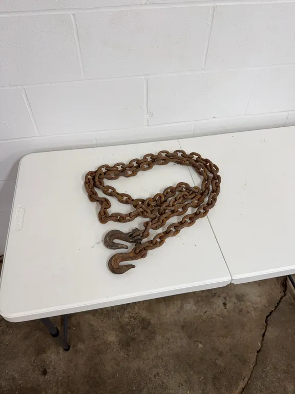 Log chain 10 foot both hooks