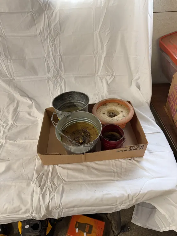 4 bug repellent, candles