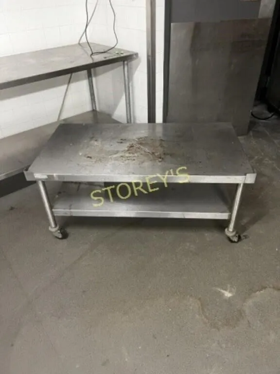 48 x 26 S/S Equipment Stand on Wheels