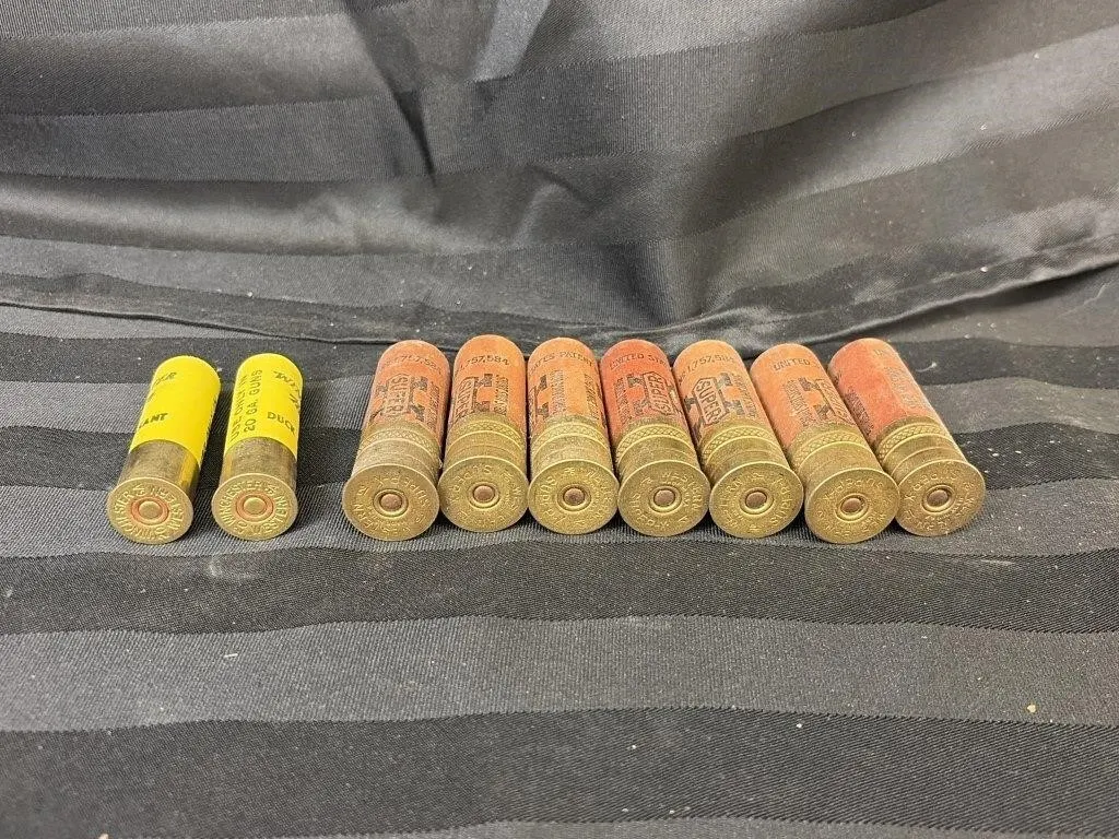 7 Rounds of 12 Gauge Shot Gun Ammo
