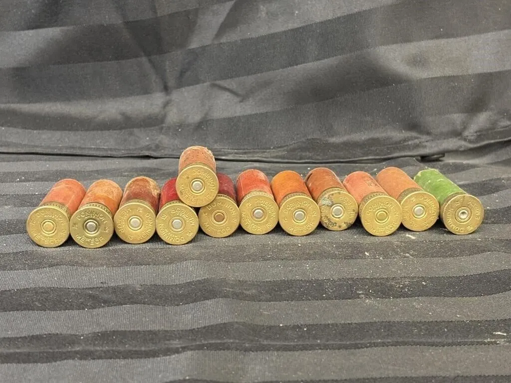 12 Rounds of 12 Gauge Shotgun Shells