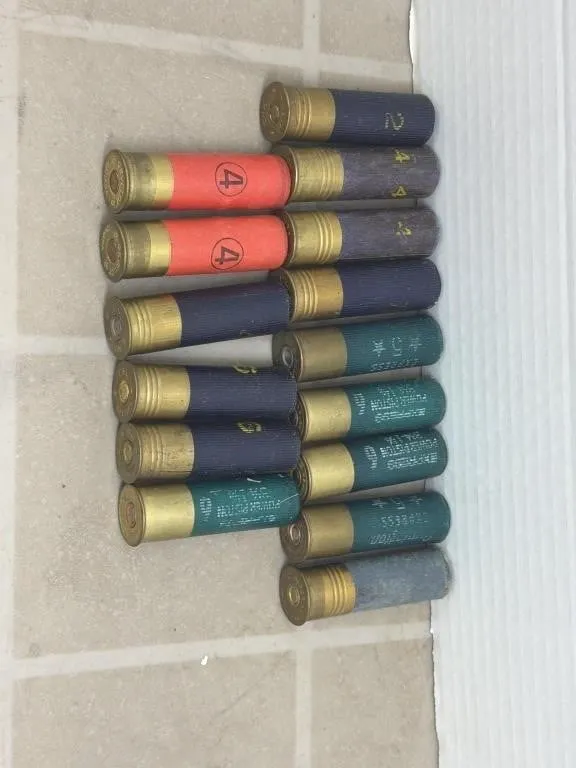 15 Assorted 16ga Shells