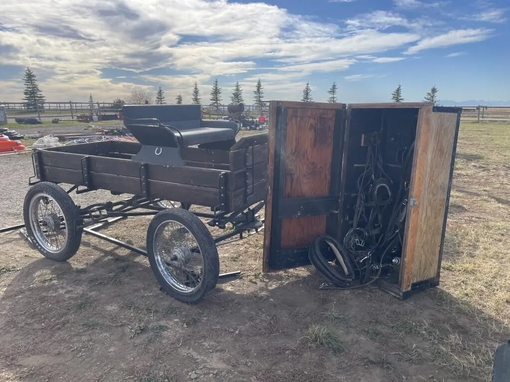 1930's 2 Seater MilkWagon & 2-13" LIKE NEW Collars