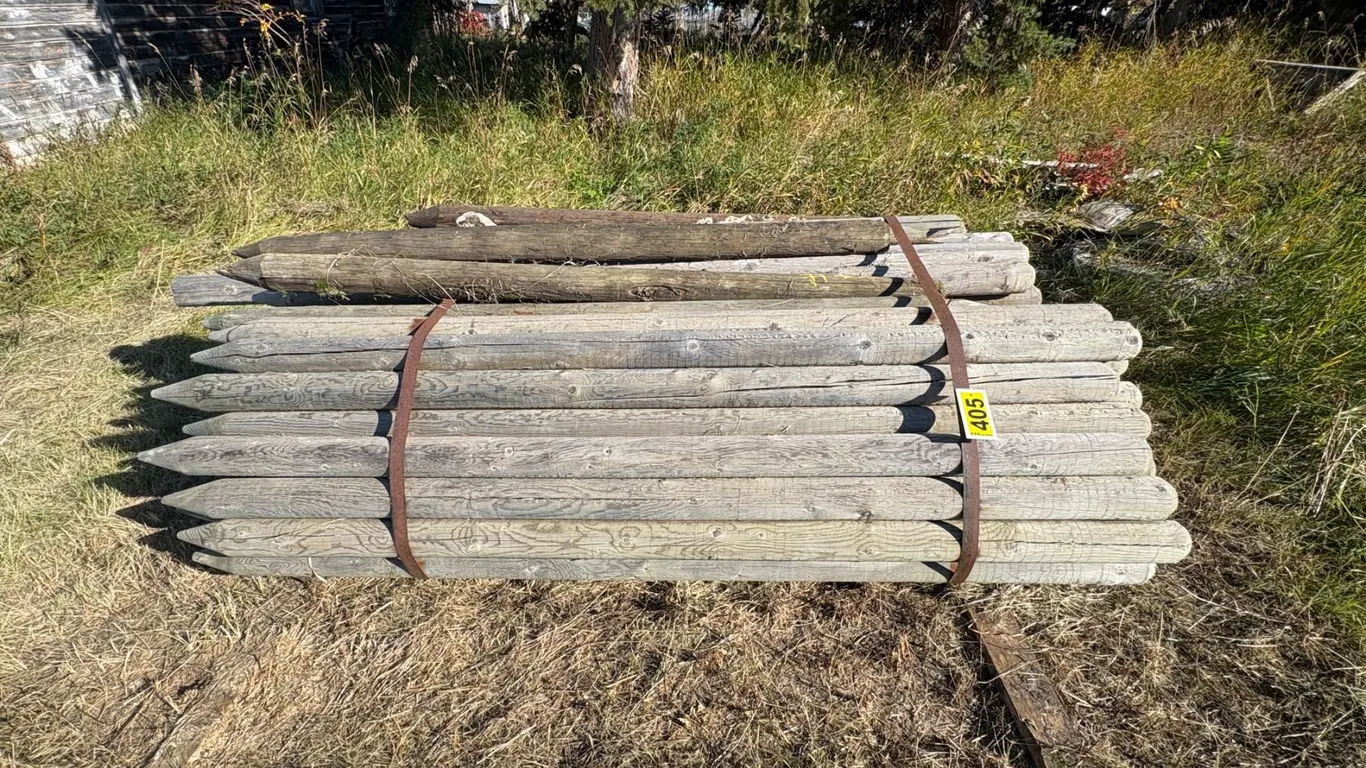 Bundle of 4-5 inch sharpened posts