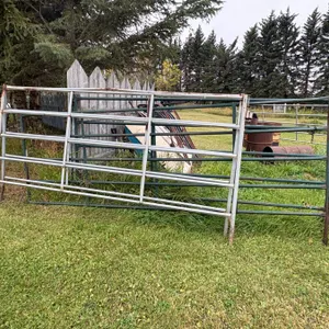Open Lot