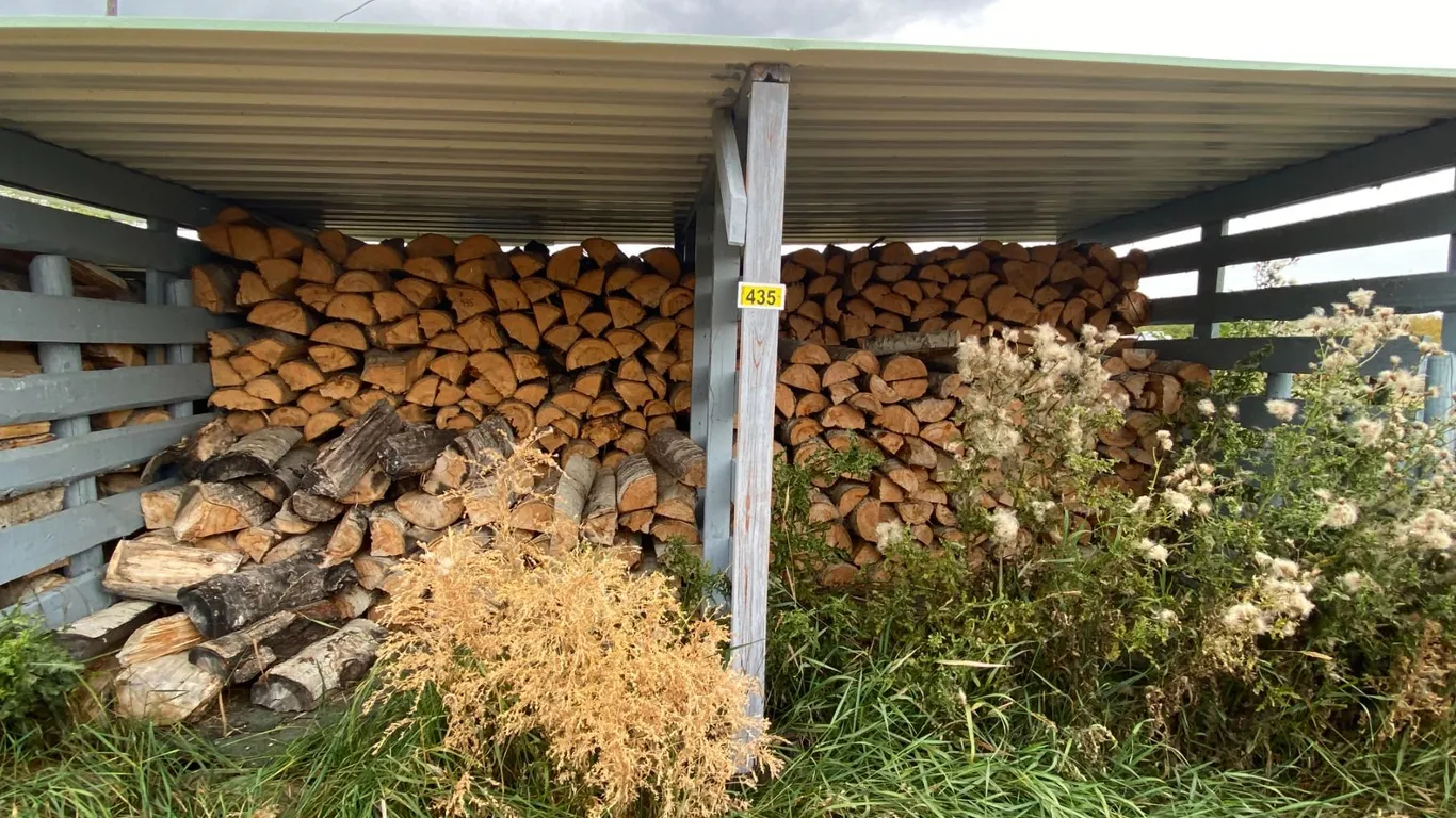 Qty of Poplar firewood (Buyer Responsible to Load)