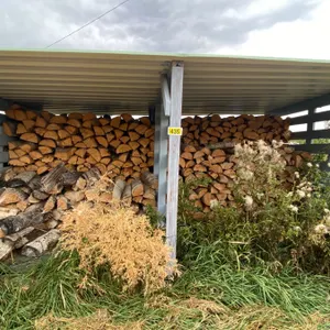 Open Lot