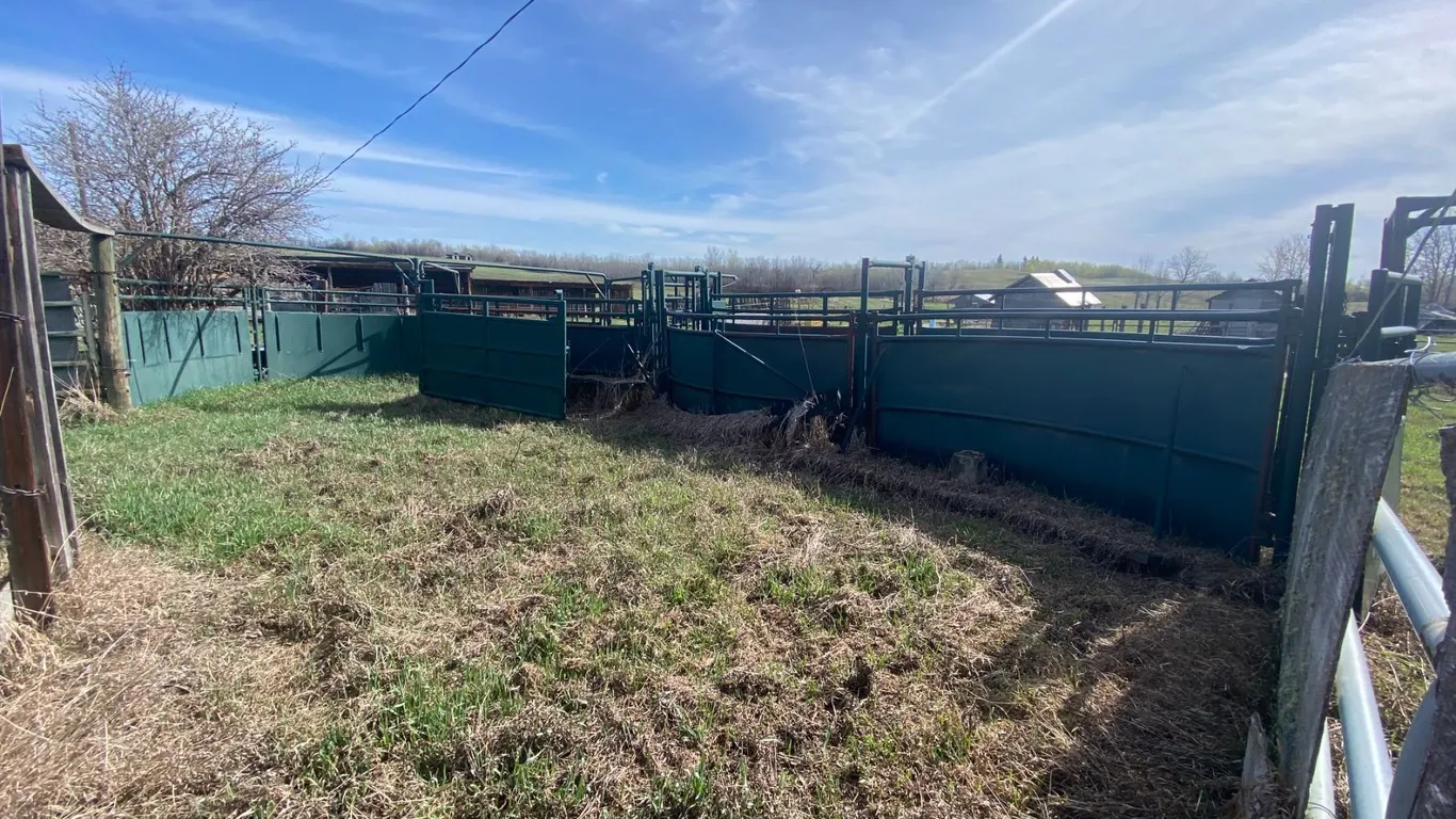 Complete Hi Hog Cattle handling system, Loader Available to assist- One Day Oct 21st