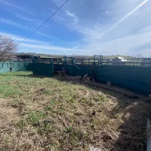 Complete Morand Cattle handling system, Loader Available to assist- One Day Oct 21st