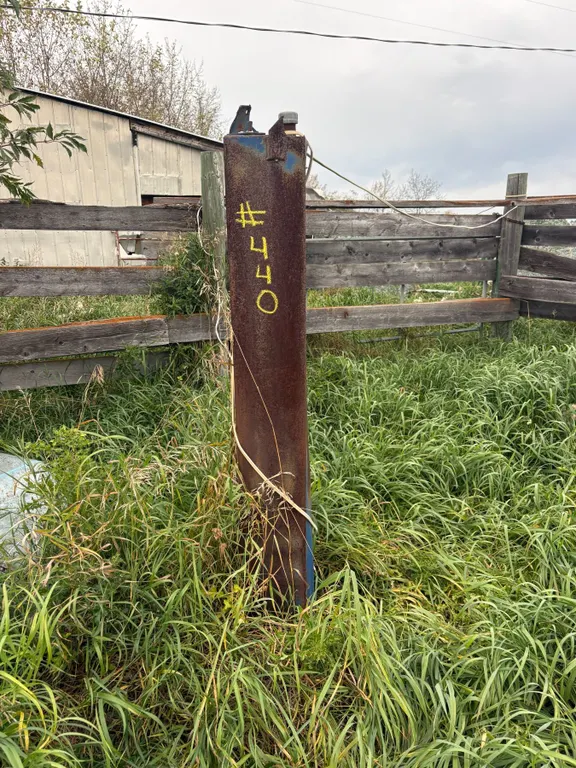 Cattle oiler