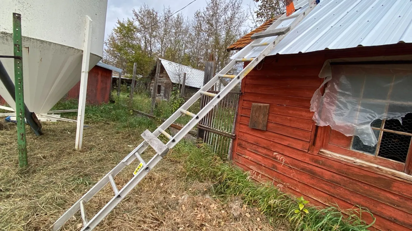 Ladder & metal small gate