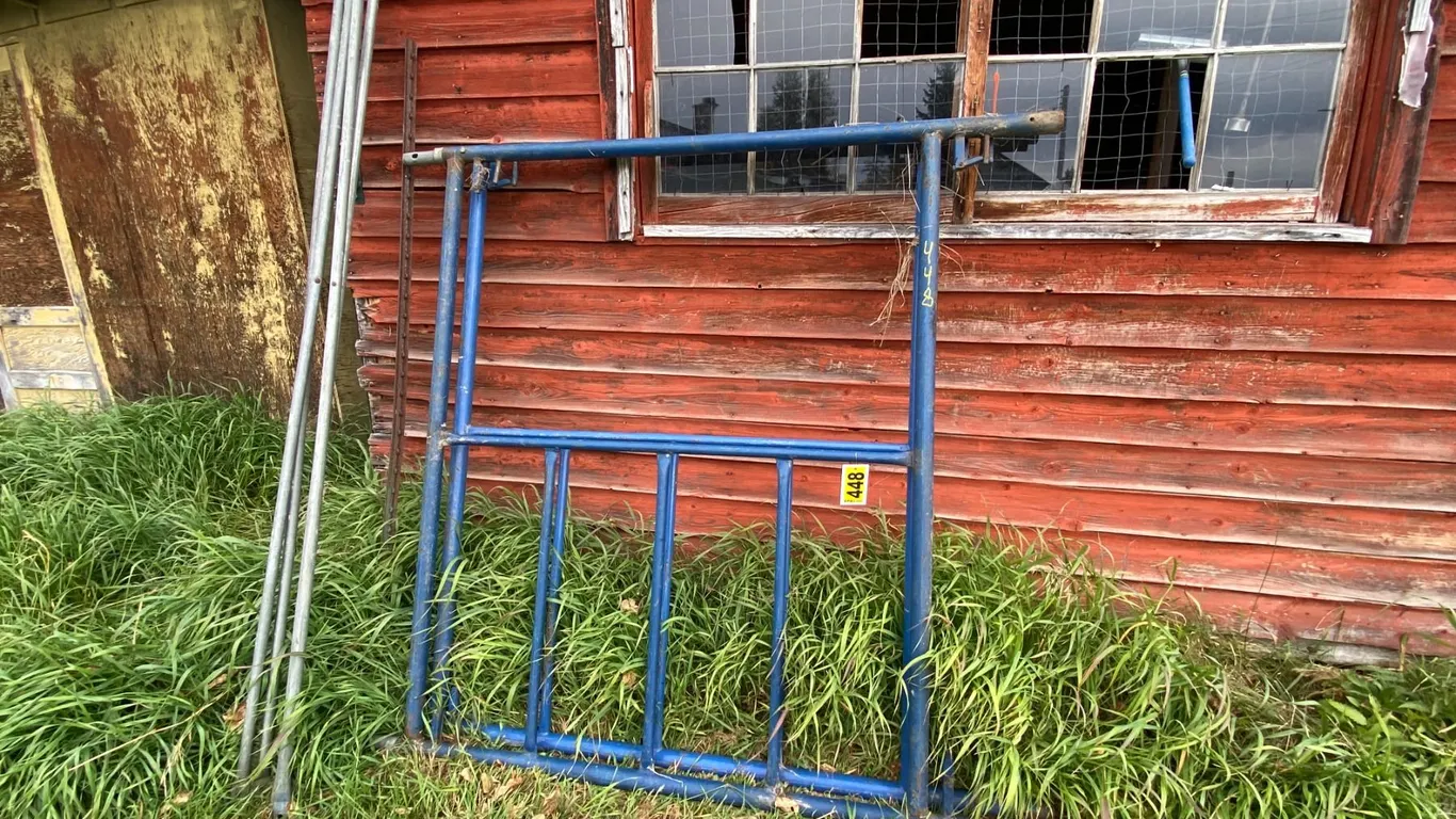 Blue2-sec. scaffold & 2- braces