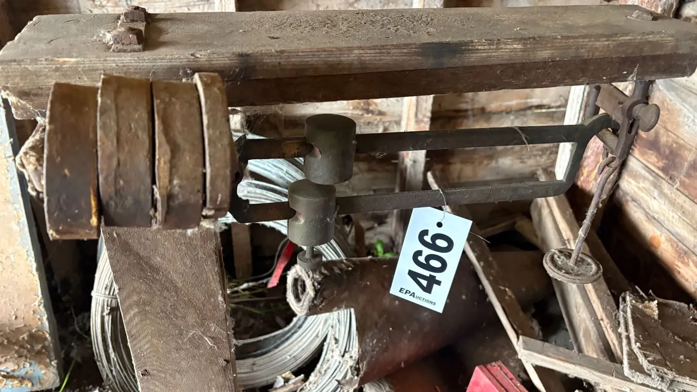 Platform scale