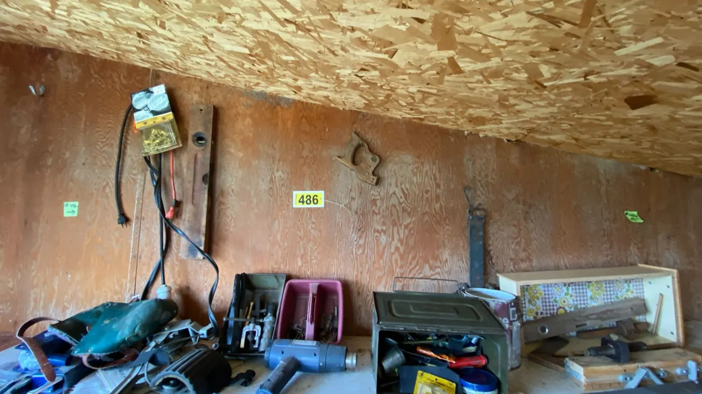 Misc. on West upper wall of chicken coop