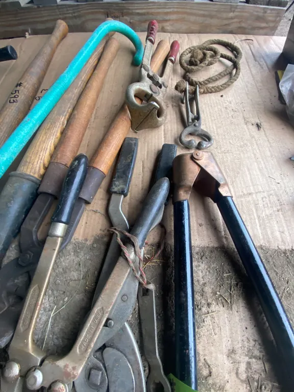 Qty of cattle equip.- Burduzios, dehorners, leather punch, cane etc.