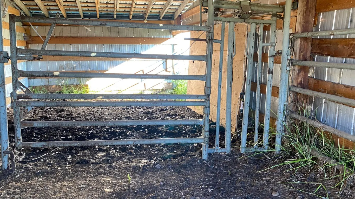 Maternity pen c/w head gate (Buyer responsible to dismantle)